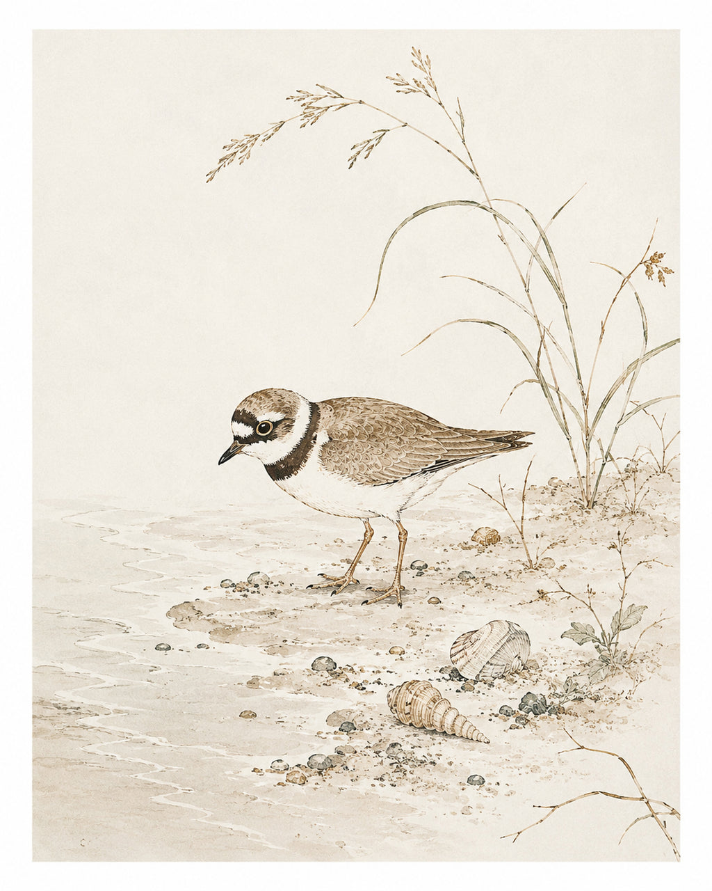 Charming Bird Beach Watercolor Poster, Coastal Nature Wall Art in Japanese Style, Serene Sandpiper Print - corrected 4x5 flat artwork