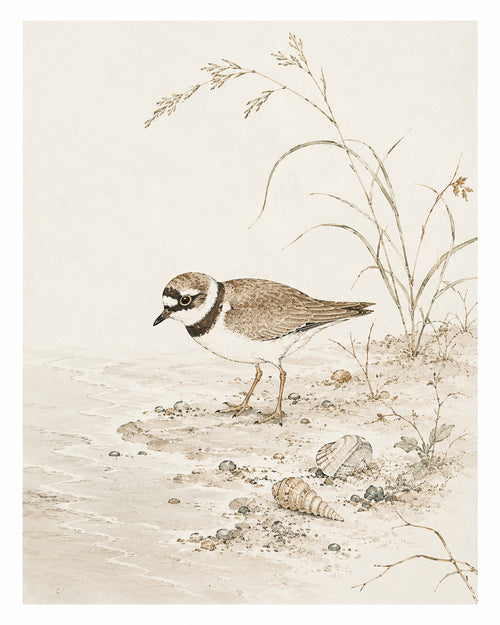 Charming Bird Beach Watercolor Poster, Coastal Nature Wall Art in Japanese Style, Serene Sandpiper Print - corrected 4x5 flat artwork