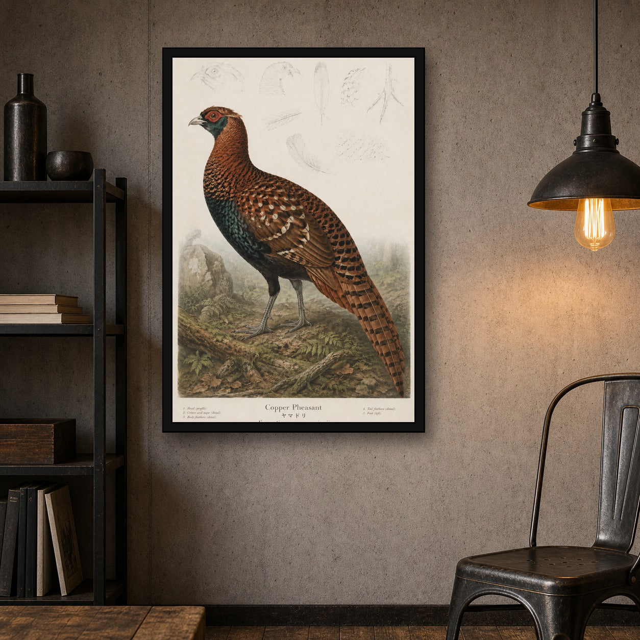 Copper Pheasant Study Japanese inspired poster print for modern wall decor