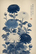 Elegant Chrysanthemum Poster, 'Kiku' Japanese Floral Wall Art, Botanical Print in Multiple Sizes