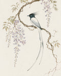 Elegant Wisteria Bird Poster, Japanese Wall Art Print, Serene Nature Decor in Various Sizes - full 4x5 artwork