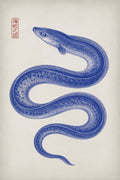 Indigo Eel Japanese Art Print, Ocean Creature Wall Decor, Serene Coastal Home Accent, in Your Choice of Six Sizes