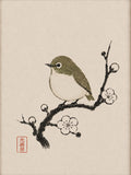 Japanese White-eye Bird & Plum Blossom Ukiyo-e Poster - Serene Japan Wall Art in Six Sizes - corrected 3x4 flat artwork