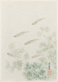 Medaka Fish Pine Scroll Japanese inspired poster print for modern wall decor