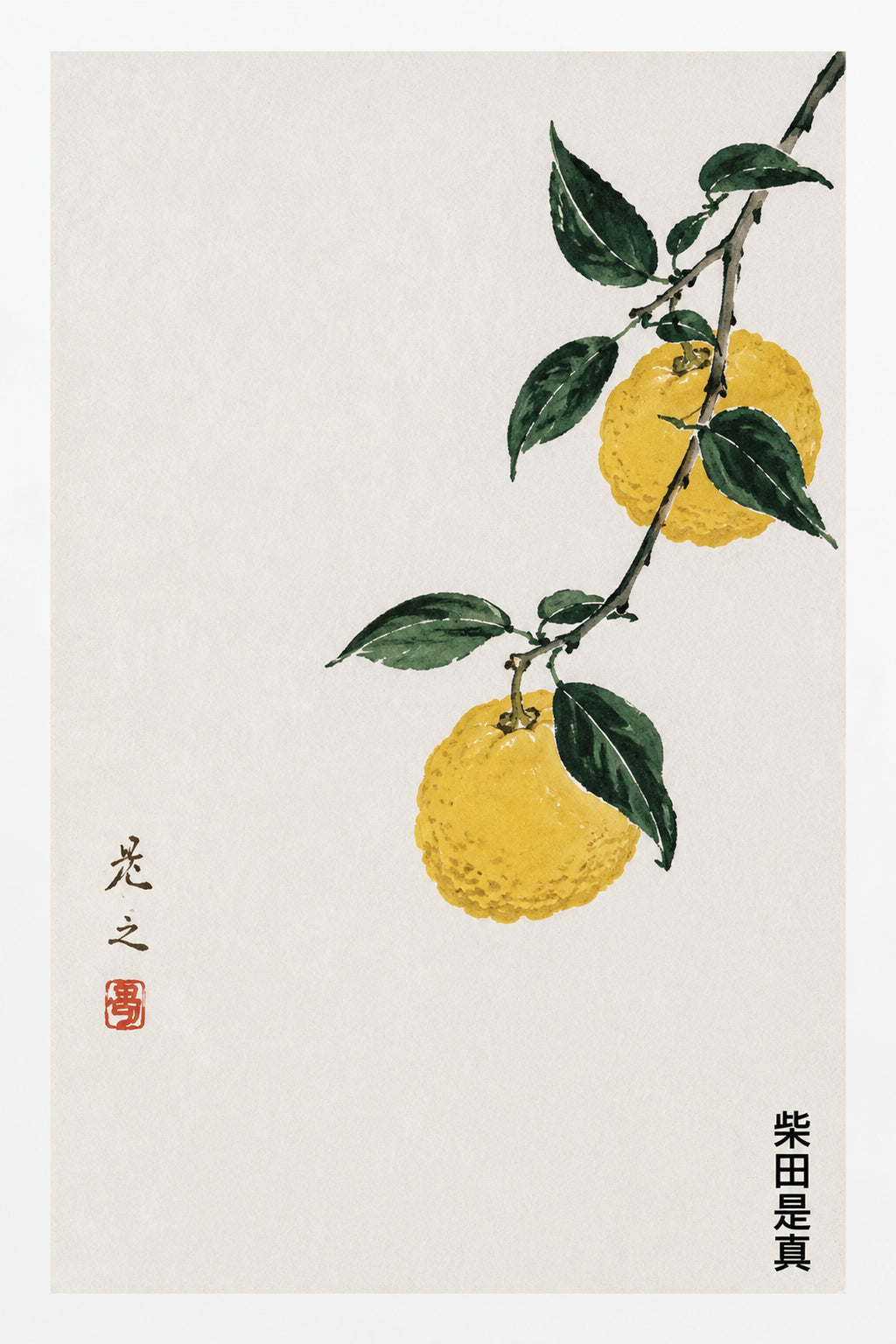 Minimalist Yuzu Fruit Art Print, Vibrant Japanese Sumi-e Inspired Citrus Wall Decor - corrected 2x3 flat artwork