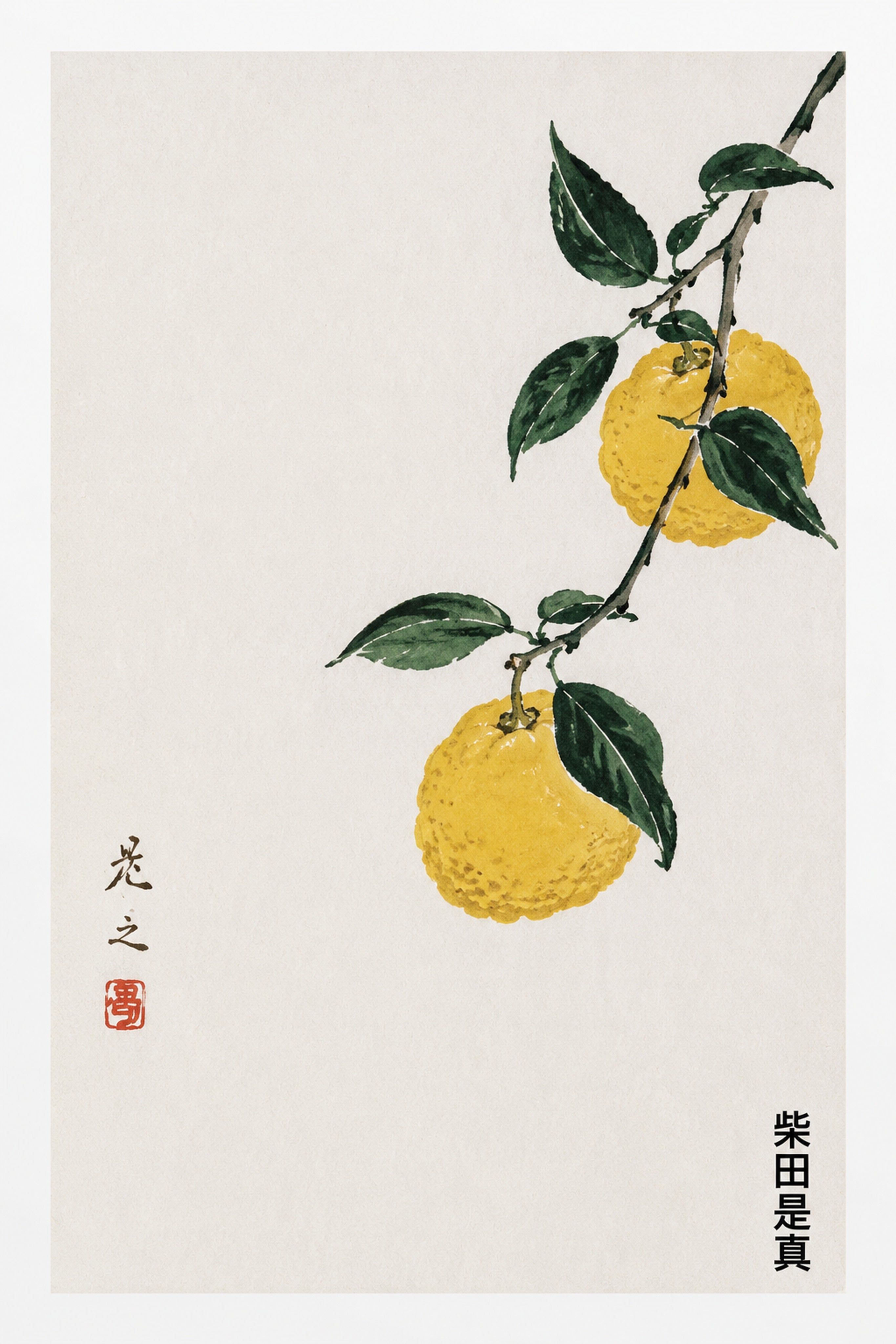 Minimalist Yuzu Fruit Art Print, Vibrant Japanese Sumi-e Inspired Citrus Wall Decor - corrected 2x3 flat artwork
