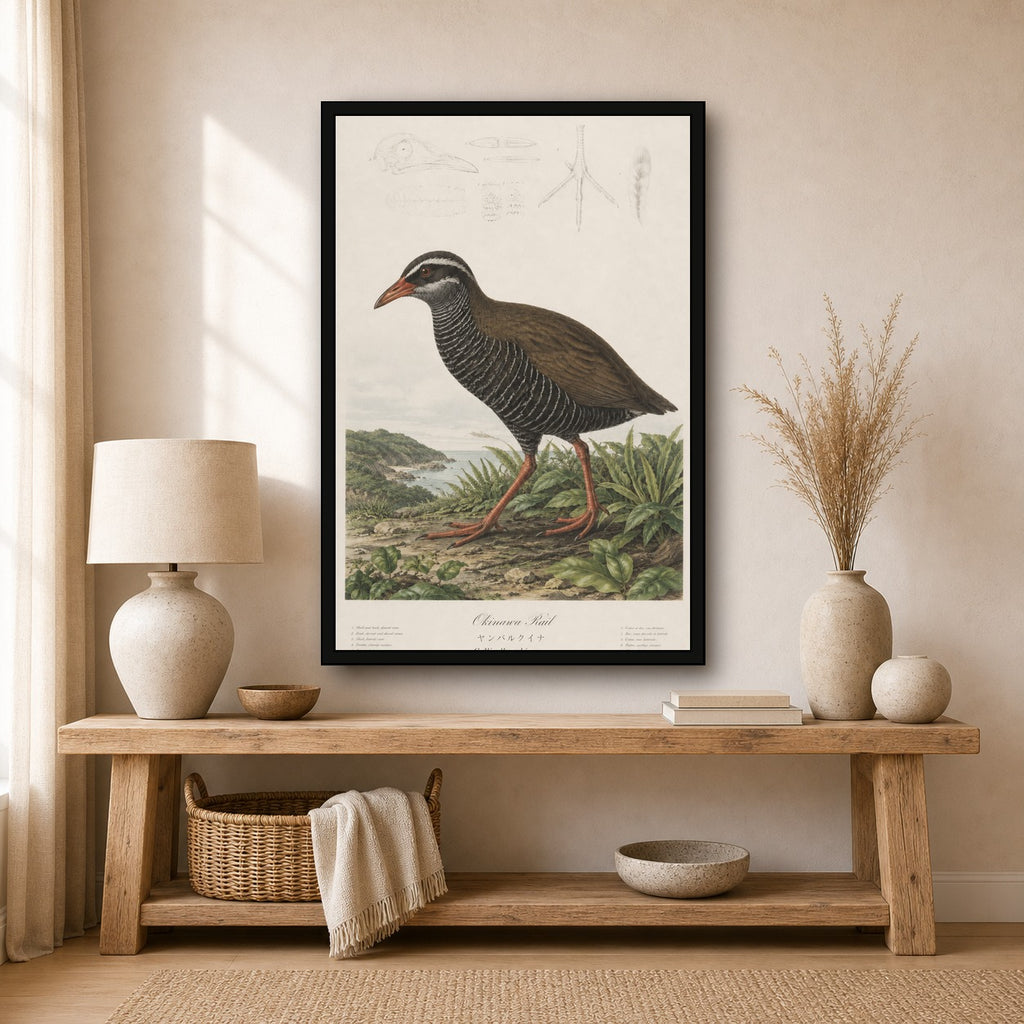 Okinawa Rail Grass Study Japanese inspired poster print for modern wall decor
