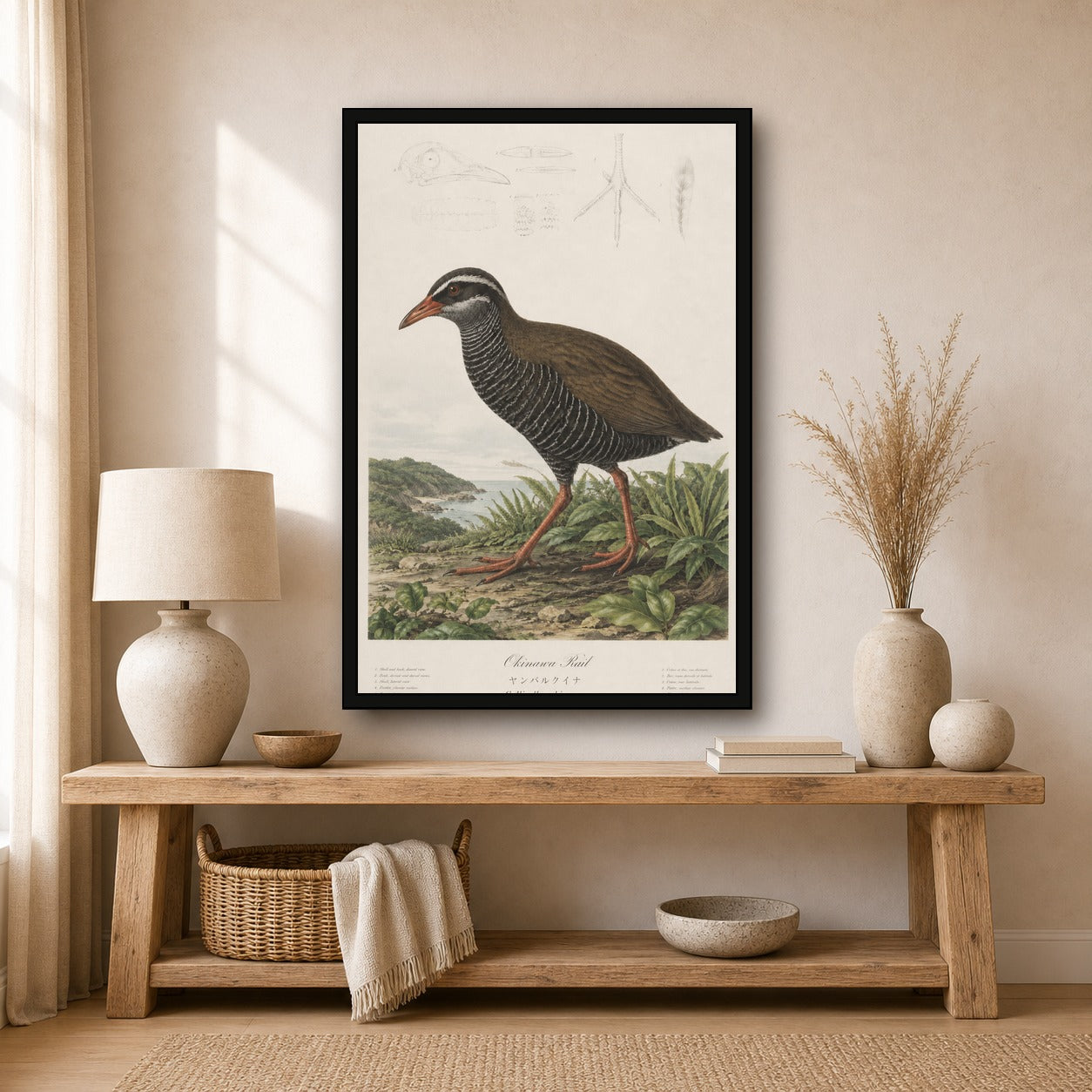 Okinawa Rail Grass Study Japanese inspired poster print for modern wall decor