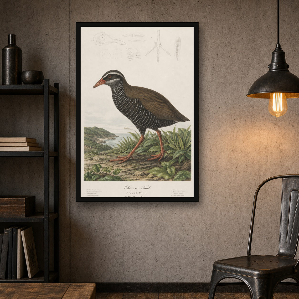 Okinawa Rail Grass Study Japanese inspired poster print for modern wall decor