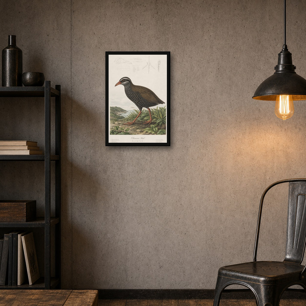 Okinawa Rail Grass Study Japanese inspired poster print for modern wall decor