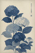 Blue Hydrangea Botanical Japanese inspired poster print for modern wall decor