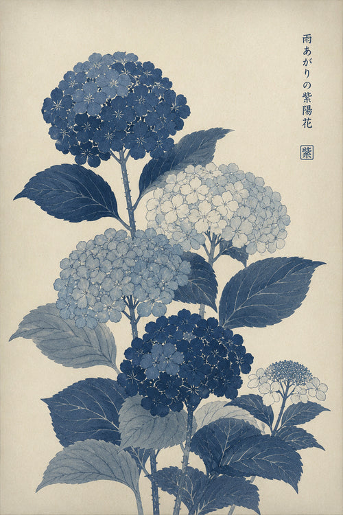 Blue Hydrangea Botanical Japanese inspired poster print for modern wall decor
