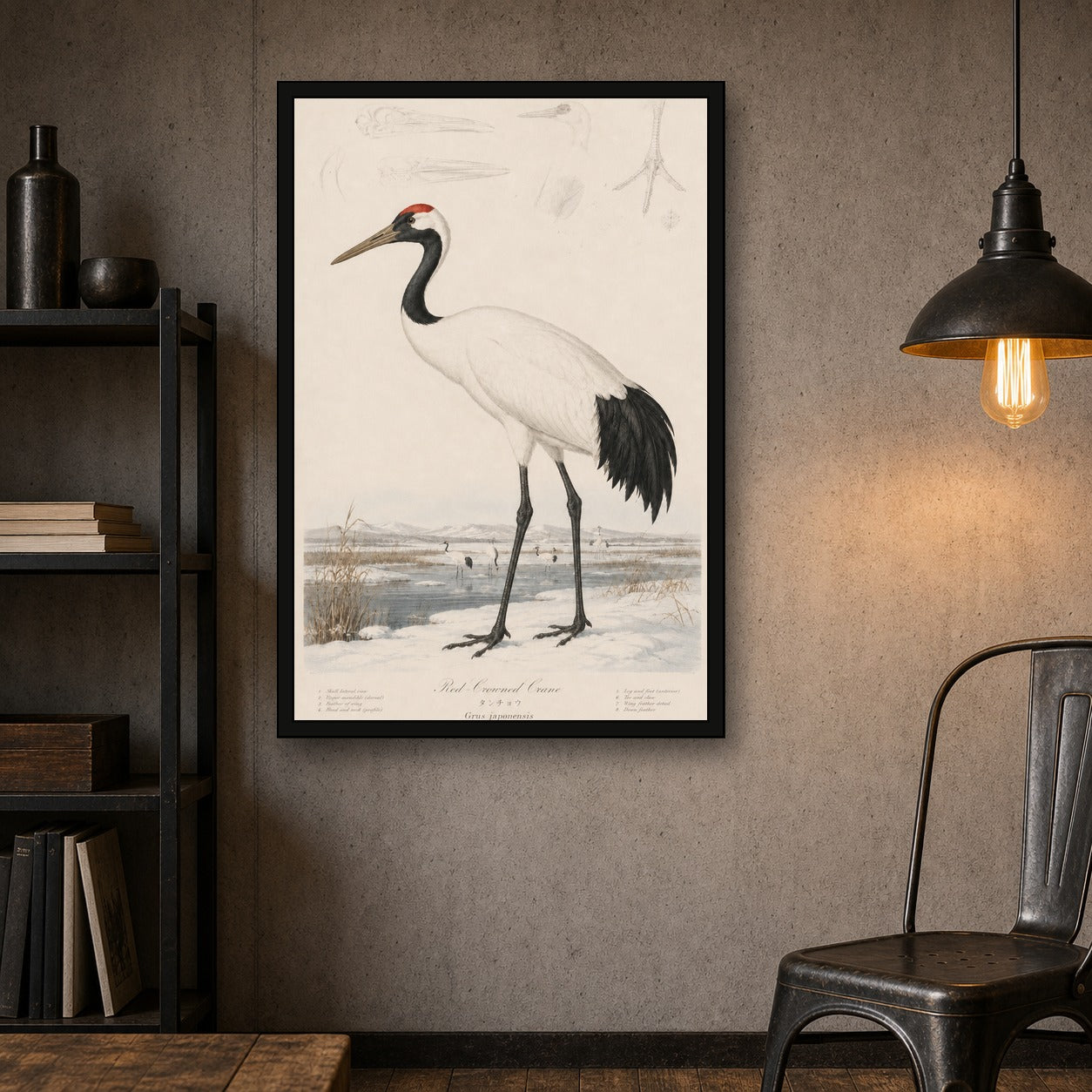 Red Crowned Crane Study Japanese inspired poster print for modern wall decor