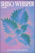 Shiso Whisper Abstract Art Poster, Mystical Japan Wall Decor, Pastel Hues & Leaves Print