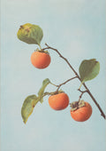 Persimmon Branch Botanical Japanese inspired poster print for modern wall decor