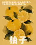 Vibrant Yuzu Citrus Watercolor Art Print, Japanese Botanical Wall Decor, Zesty Kitchen & Travel Poster - corrected 4x5 flat artwork