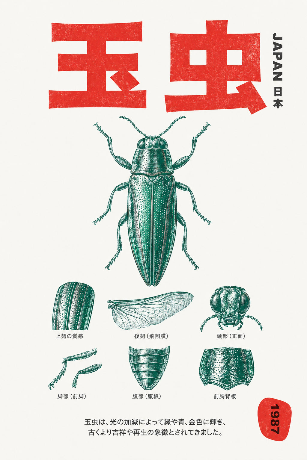 Vintage Japanese Jewel Beetle Anatomy Print, Vibrant Mid-Century Modern Entomology Wall Art, in Your Choice of Six Sizes
