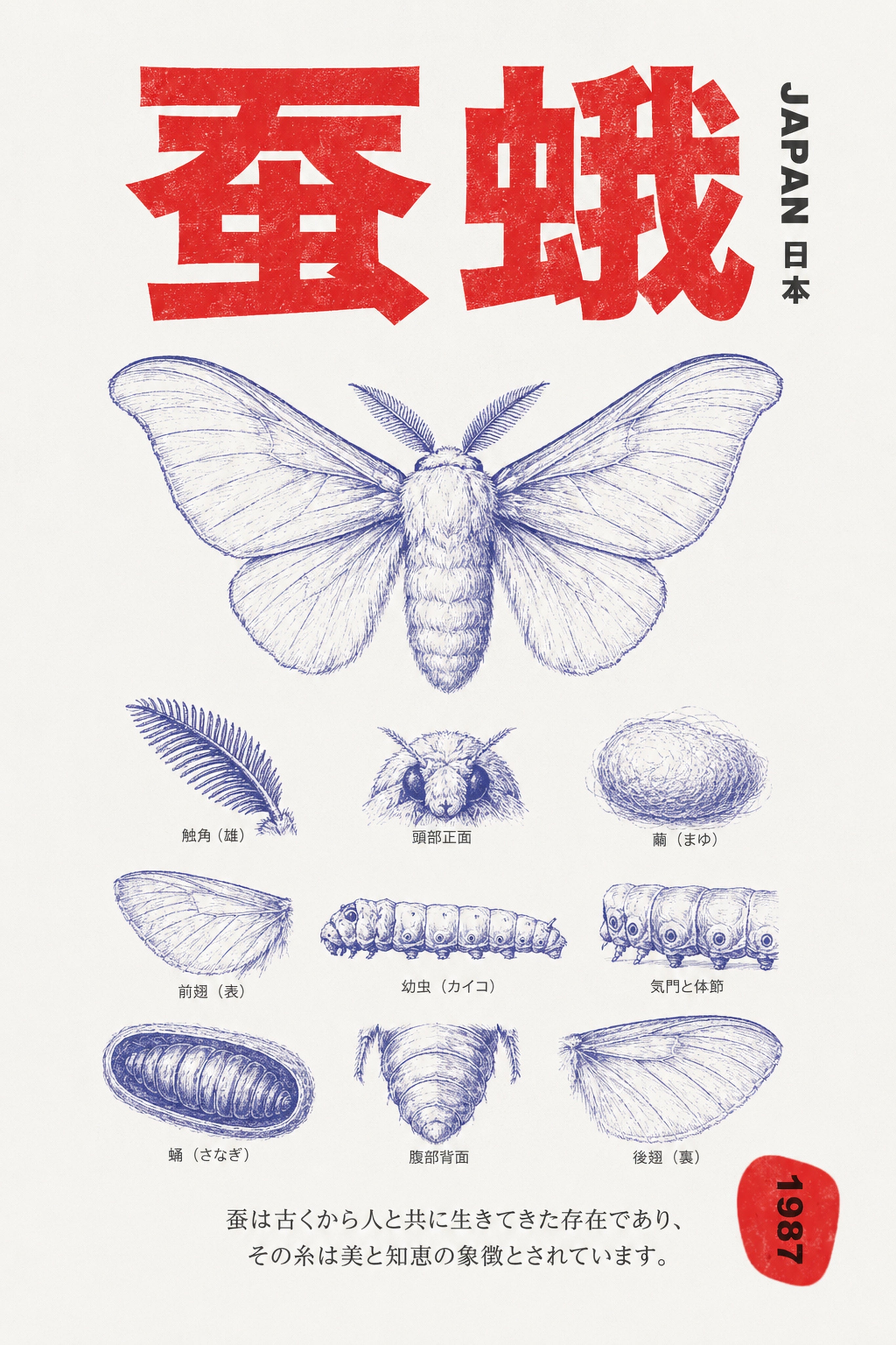 Vintage Japanese Moth Entomology Poster, Serene Indigo & Red Japan Wall Art, Science Print in Multiple Sizes